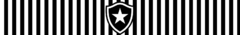 Banner da categoria Botafogo
