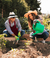 Agricultura e Jardinagem