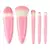 KIT DE PINCÉIS PORTÁTIL COM ESPELHO - ROSA - Hero Makeup
