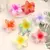 PRESILHA FLOR PINTEREST