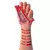 PALETA PEPPER SP COLORS - comprar online