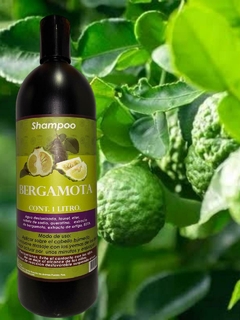 Shampoo bergamota