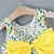 Vestido Beach com Chapéu - loja online