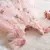 Vestido Florzinhas Bordadas Asa de Borboleta - Lily Queen Loja Infantil