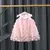 Vestido Tule Laço Florzinhas na internet