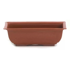 BONSAI RECTANGULAR - comprar online