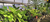 Carrusel Vivero p.arq.e