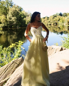 VESTIDO PAPILLON na internet
