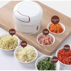Mini processador e triturador de alimentos Manual na internet