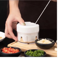 Mini processador e triturador de alimentos Manual na internet