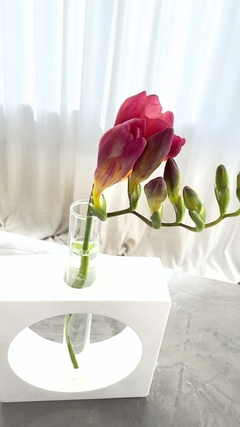 Florero aesthetic hidroterrario - comprar online