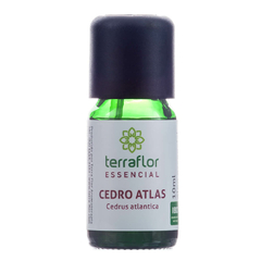 Óleo Essencial de Cedro Atlas 10ml - Terra Flor na internet