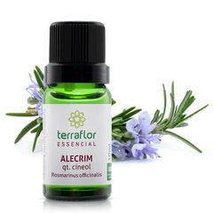 Óleo Essencial de Alecrim Qt. Cineol 10ml - Terra Flor