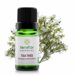Óleo Essencial de Tea Tree (Melaleuca) - 10ml - Terra Flor