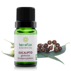 Óleo Essencial de Eucalipto Globulus - 10ml - Terra Flor