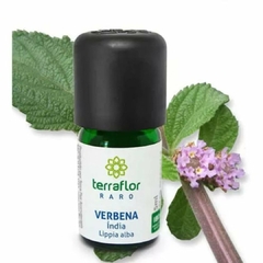 VERBENA INDIA 5ML - Terra Flor