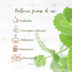 Óleo Essencial de Alecrim Orgânico 5ml - WNF - Karina Pimenta - Maternidade, Cuidados Naturais, Autismo, TDAH