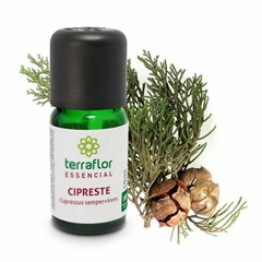 Óleo Essencial de Cipreste 10ml - Terra Flor