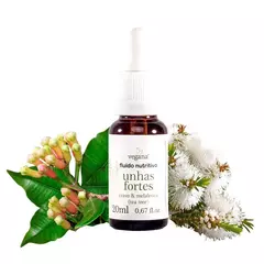 Fluido Nutritivo Unhas Fortes - 20ml - WNF