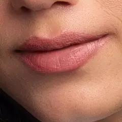 BBS 4X1 BioBio Blush, Batom e sombra FPS 63 Pessego Rose na internet