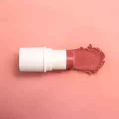 BBS 4X1 BioBio Blush, Batom e sombra FPS 63 Pessego Rose - Karina Pimenta - Maternidade, Cuidados Naturais
