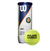 Pelotas de Tenis Wilson Roland Garros