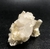Mica Estrela dourada (Malacacheta) - loja online