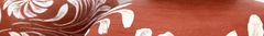 Banner da categoria Moringa
