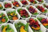 Viandas Veggie