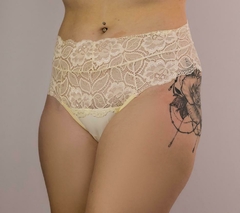 CALCINHA BRIZE FLAMBOYANT - loja online