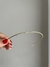 Colar Chocker Aro Torcido na internet