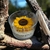 Coleção Flowers - Sunshine 120g na internet