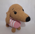 Perrito salchicha en internet