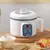 Mini olla arrocera eléctrica para el hogar, vaporera multifunción de una capa o doble, electrodomésticos de cocina automática - tienda en línea