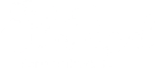 Ella Papel Personalizado