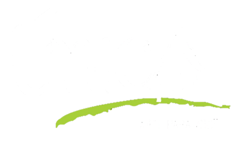 Única Arte para Você