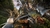 Kingdom Come: Deliverance II Gold Edition PC Steam - Mercantgames