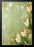 Poster Flores Tulipas - loja online