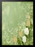 Poster Flores Tulipas - comprar online