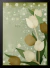 Poster Flores Tulipas na internet