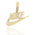 Pingente Nike Cravejado - Banhado a ouro 18k na internet