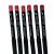 Lapis Labial Lebranche