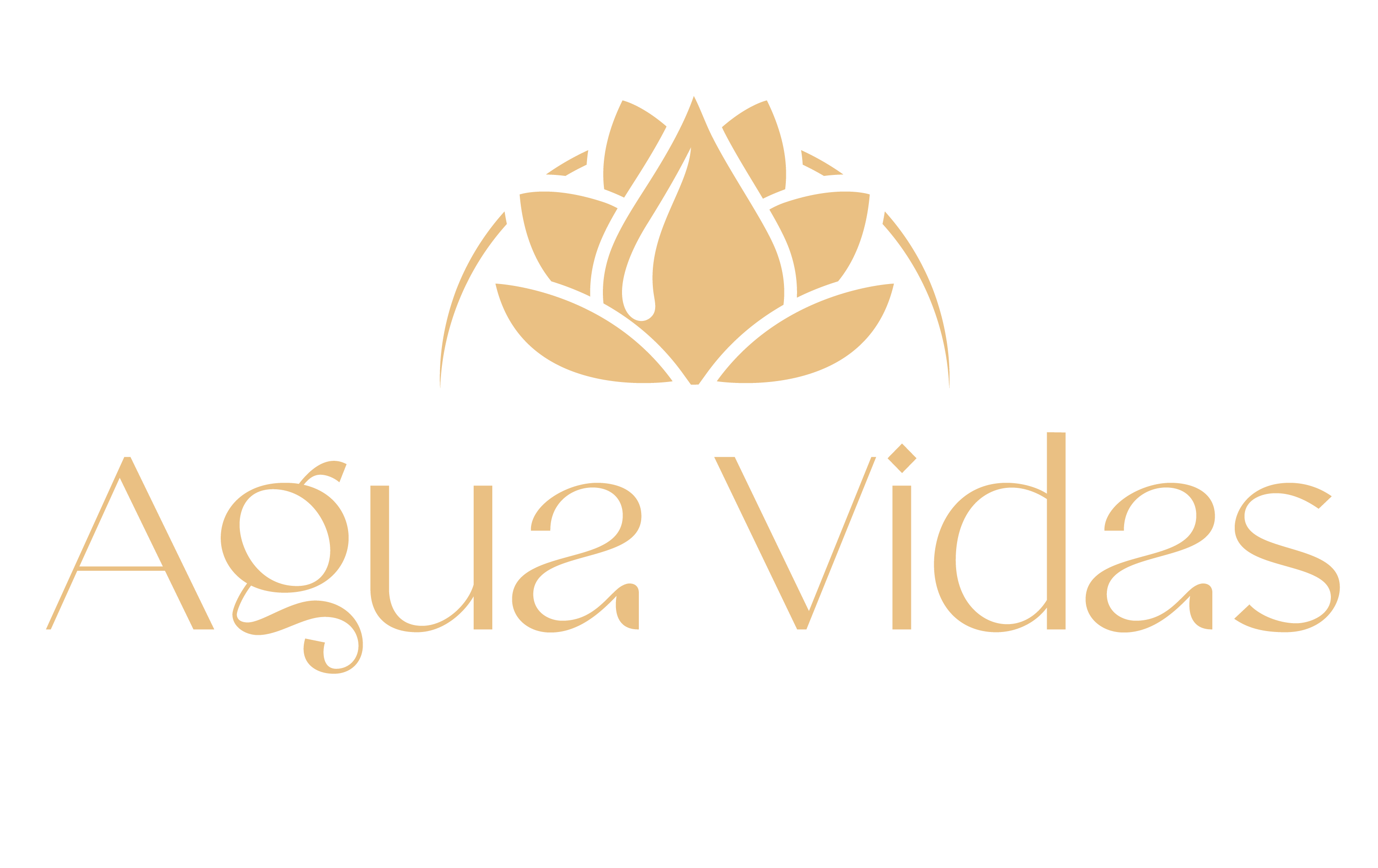 Agua Vidas