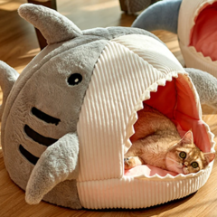 Caminha Shark Cat - comprar online