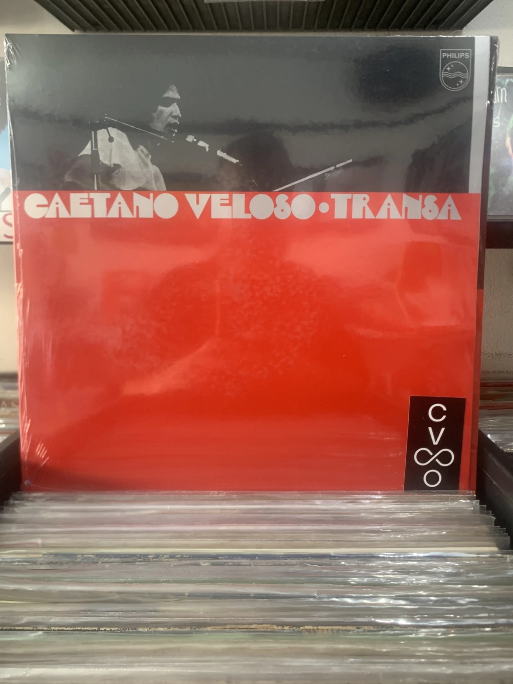 CAETANO VELOSO - TRANSA
