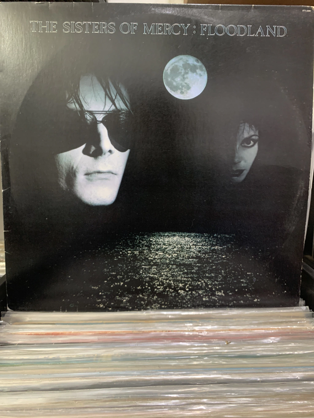 THE SISTERS OF MERCY : FLOODLAND ( 1988 )
