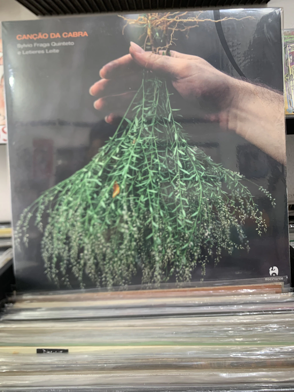 SYLVIO FRAGA QUINTETO & LETIERES LEITE - CANÇÃO DA CABRA ( 2019 - REPRESS 2021 )