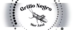 Grillo Negro Cambalache