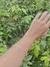 Bracelete Redondo na internet