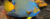 Imagem do banner rotativo 2